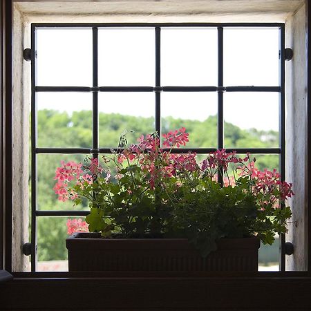 Agriturismo Althea Vittorio Veneto Ngoại thất bức ảnh
