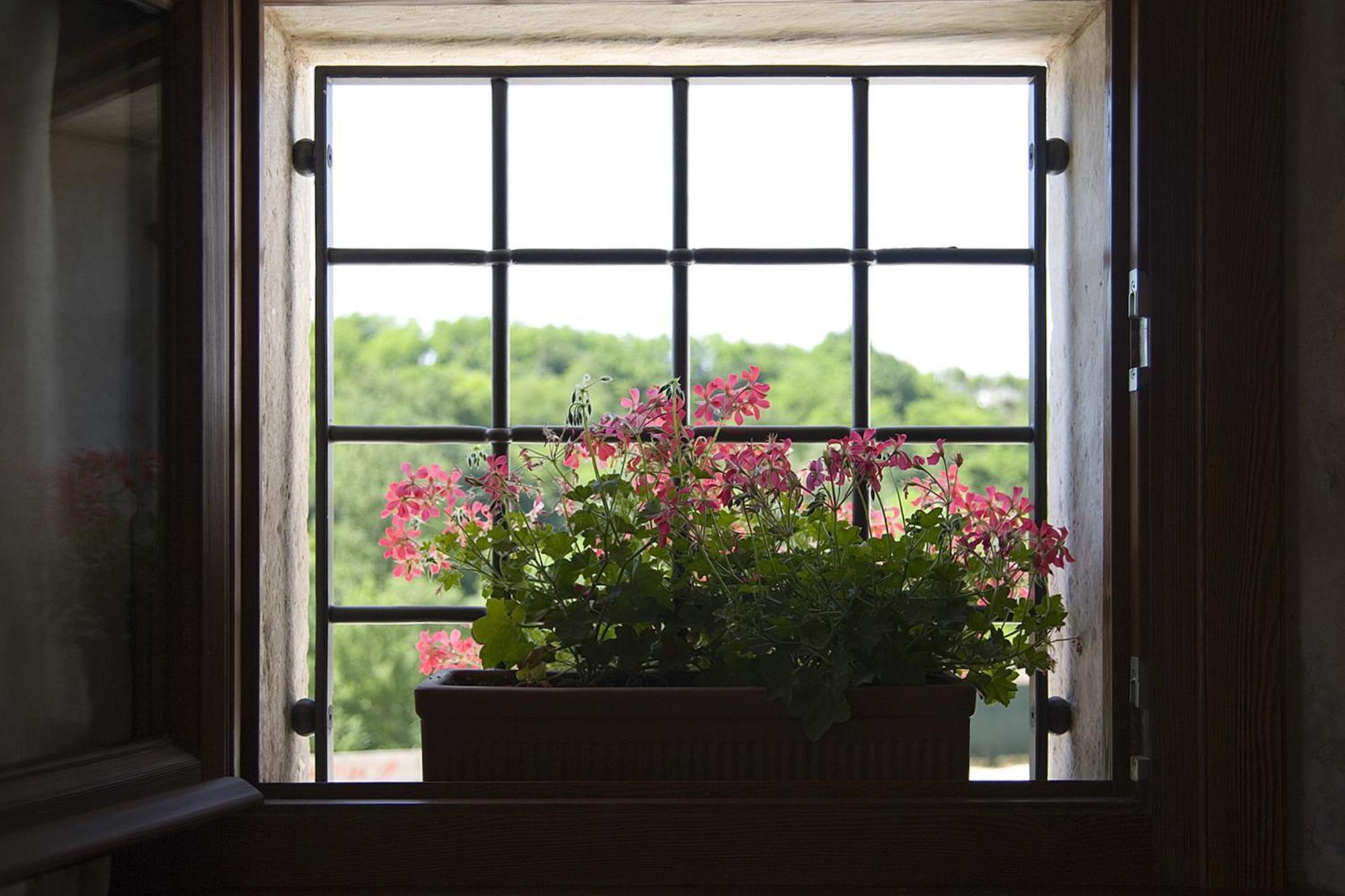 Agriturismo Althea Vittorio Veneto Ngoại thất bức ảnh