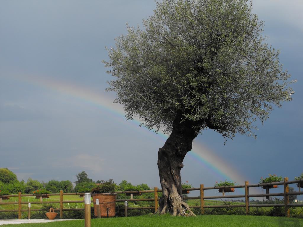 Agriturismo Althea Vittorio Veneto Ngoại thất bức ảnh