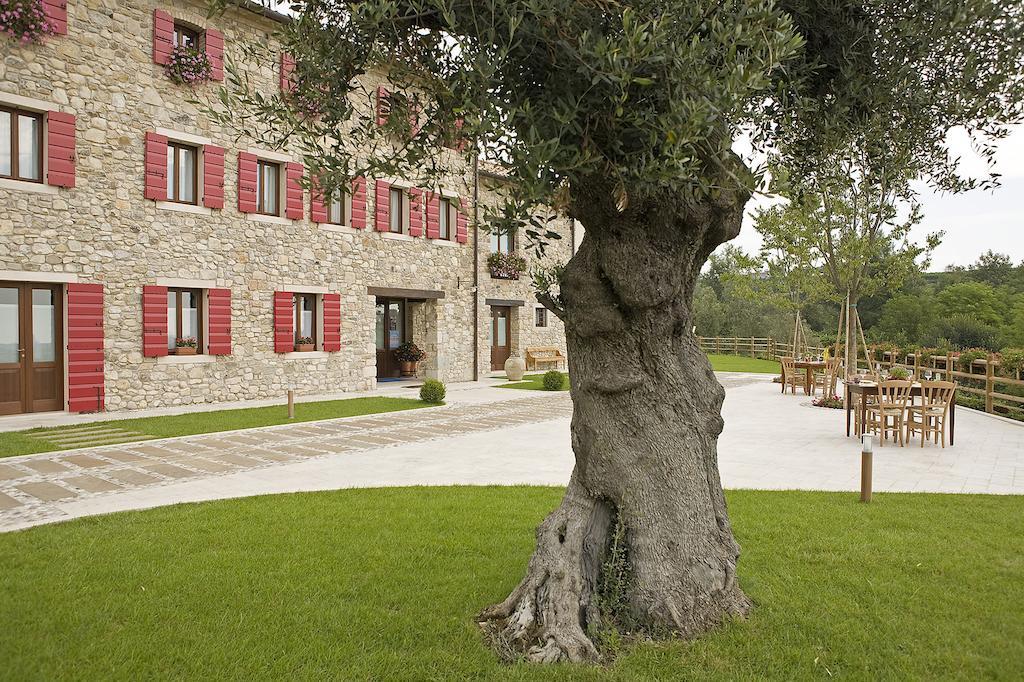 Agriturismo Althea Vittorio Veneto Ngoại thất bức ảnh
