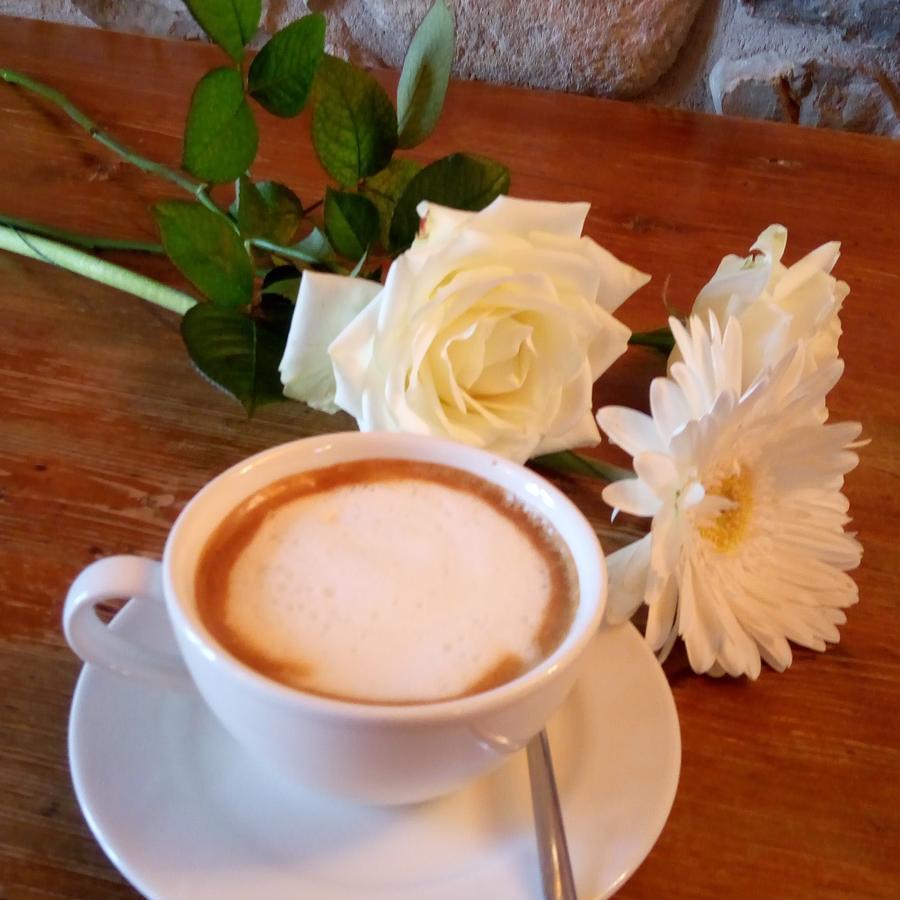 Agriturismo Althea Vittorio Veneto Ngoại thất bức ảnh